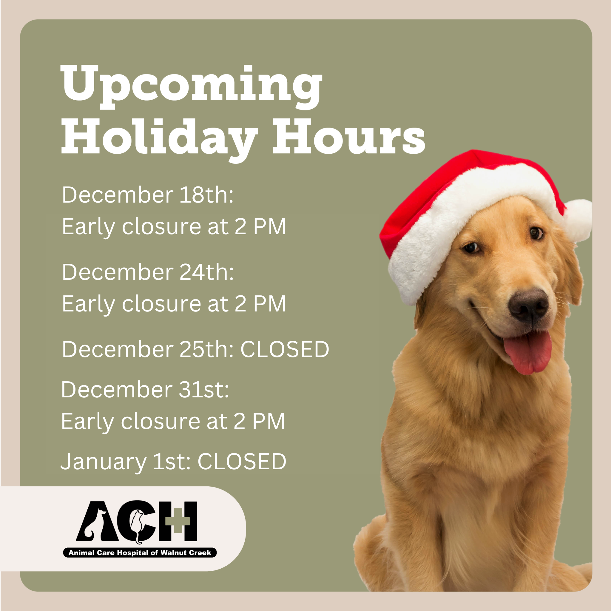 Animal Care Hospital of Walnut Creek - December Closure